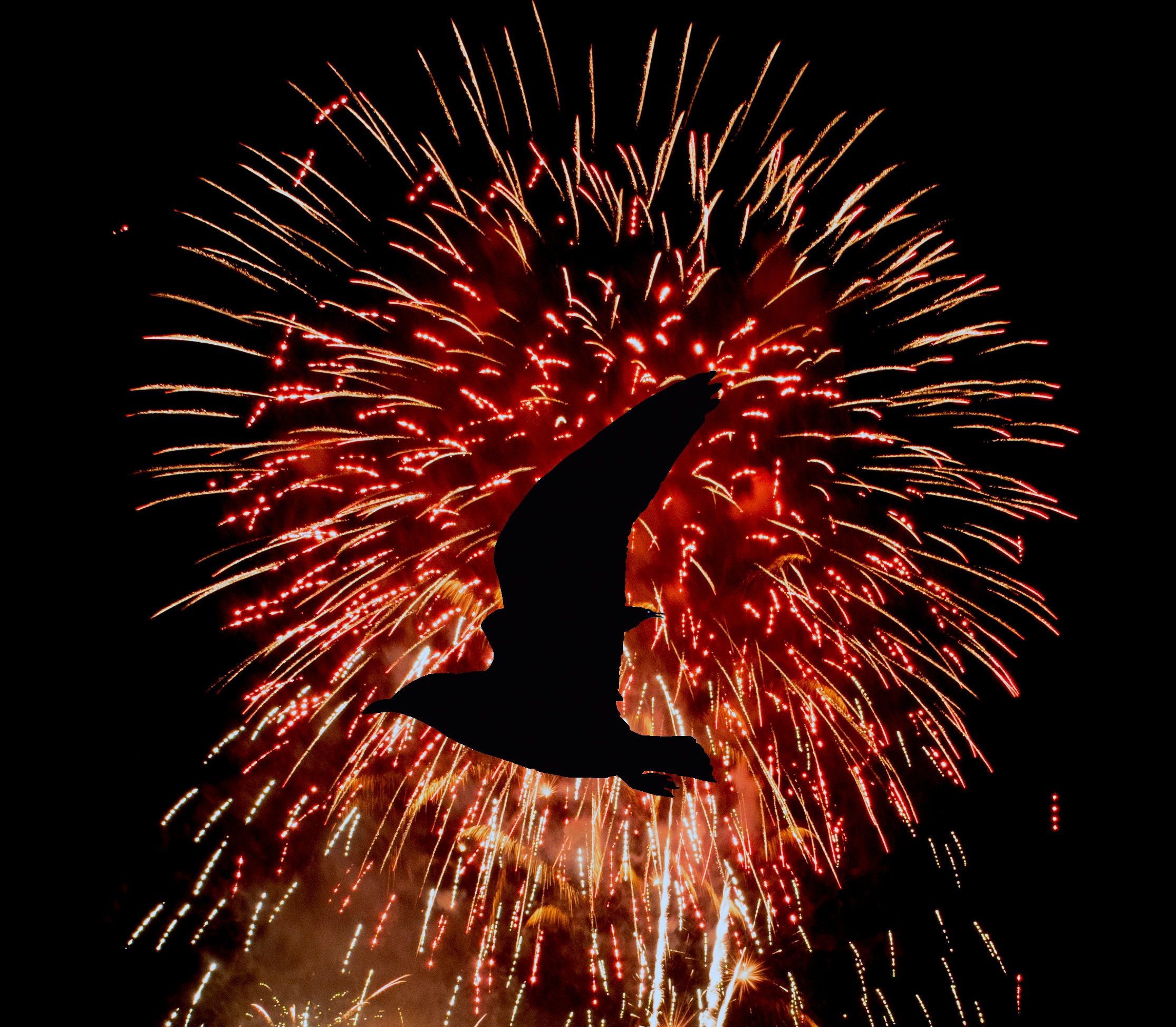 Les oiseaux paniquent et perdent de l'énergie lors des feux d'artifice. © Marcin, Adobe Stock